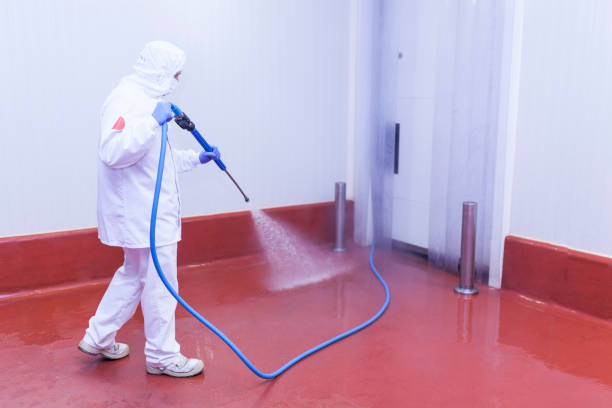 Playground Equipment Cleaning in Yonkers, NY
